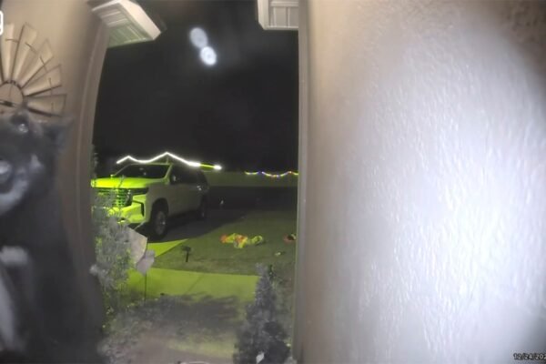 Missing dog returns to family on Christmas Eve, rings doorbell