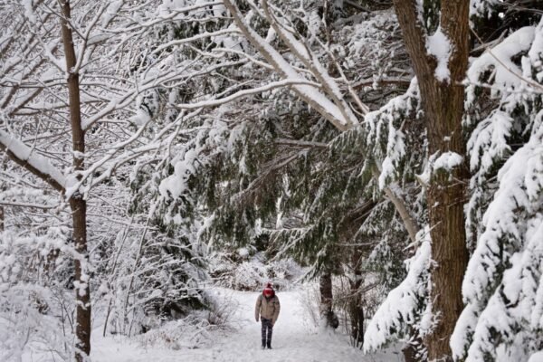 Freezing drizzle advisory: Canada weather forecast