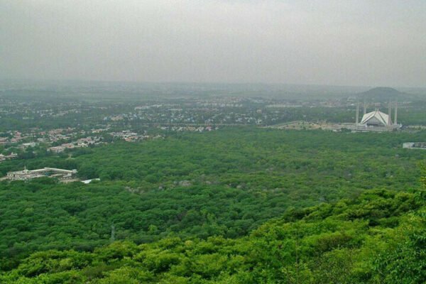 Interior ministry wants NA body briefed on illegal allotment of plots in Islamabad’s NPF – Pakistan