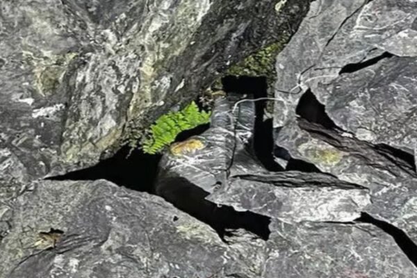 IED defused in J&K’s Reasi