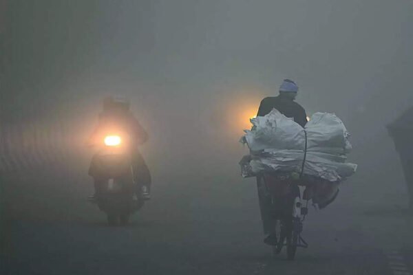 0 visibility for 9 hours: Worst fog of season blinds city | India News