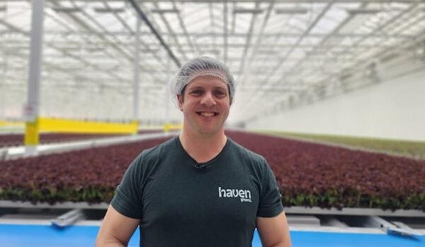 Can machine-grown lettuce help cut Canada’s reliance on U.S. greens? This farmer is betting on it