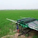 Solar boom helps mitigate Pakistan’s energy deficit, but cost is environmental hazards: experts
