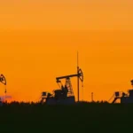 Indian state-backed refinery halts Russian oil