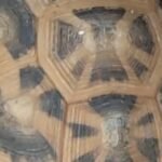 Police hunt for suspects after rare tortoises stolen