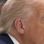 Trump says Xi meeting will ‘work out very, very well’